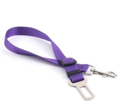 Fantastic Fixed Strap Polyester Dog Leash