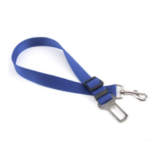 Fantastic Fixed Strap Polyester Dog Leash