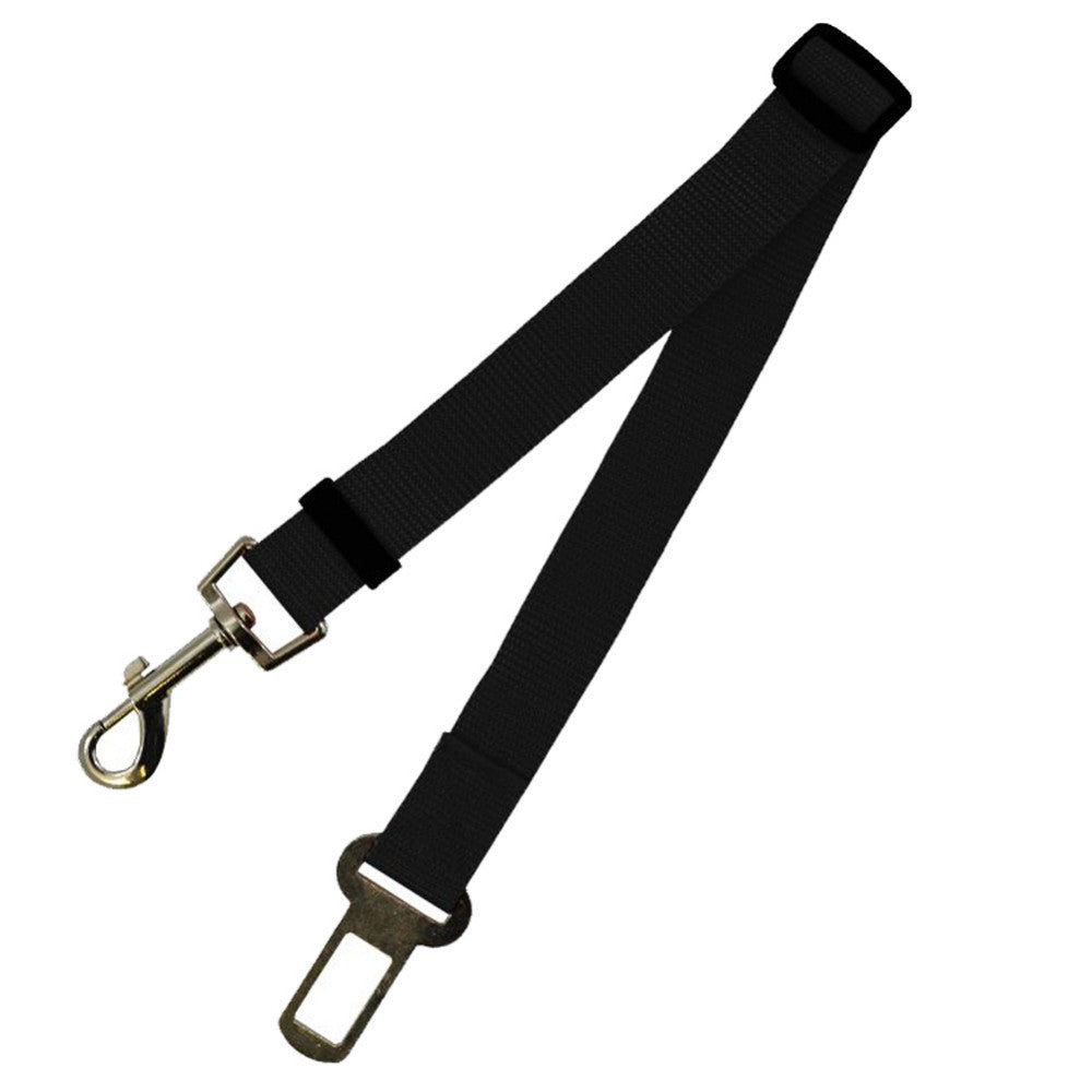 Fantastic Fixed Strap Polyester Dog Leash