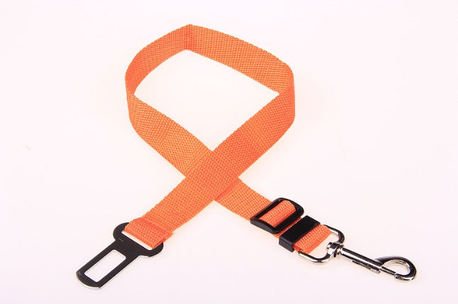 Fantastic Fixed Strap Polyester Dog Leash