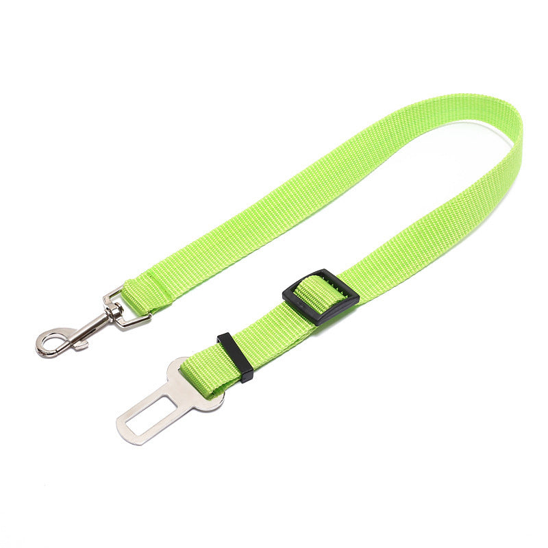 Fantastic Fixed Strap Polyester Dog Leash