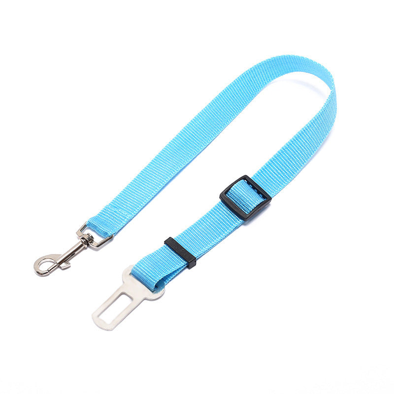 Fantastic Fixed Strap Polyester Dog Leash