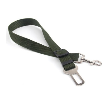 Fantastic Fixed Strap Polyester Dog Leash