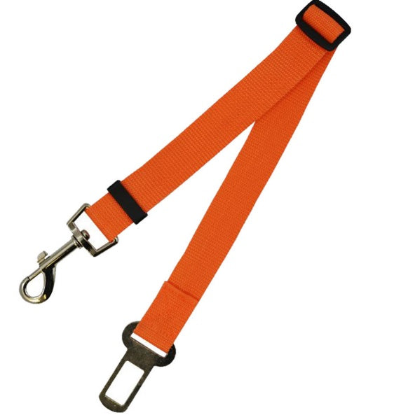 Fantastic Fixed Strap Polyester Dog Leash