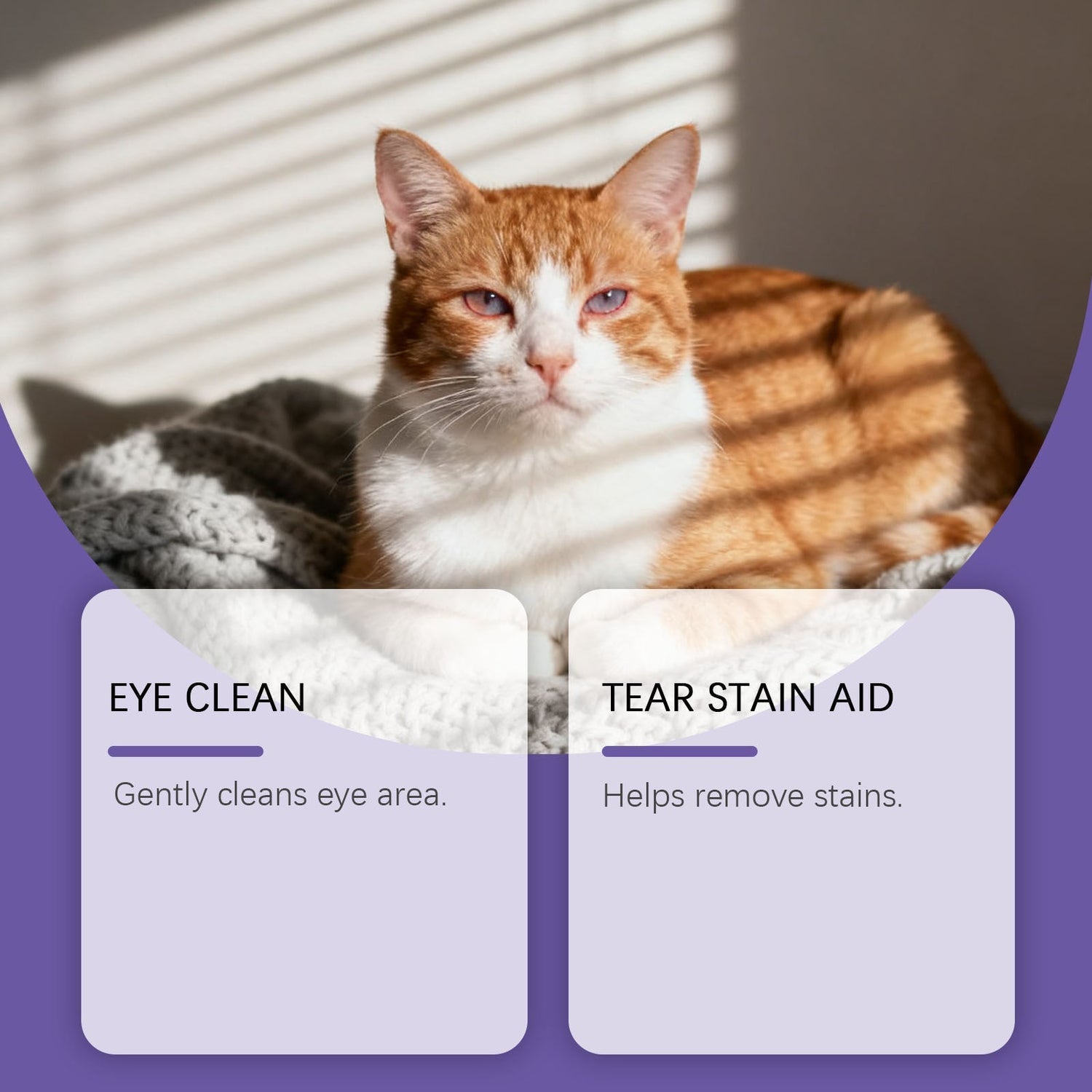 Hypoallergenic Pet Eye Wipes - ok best bark bargains