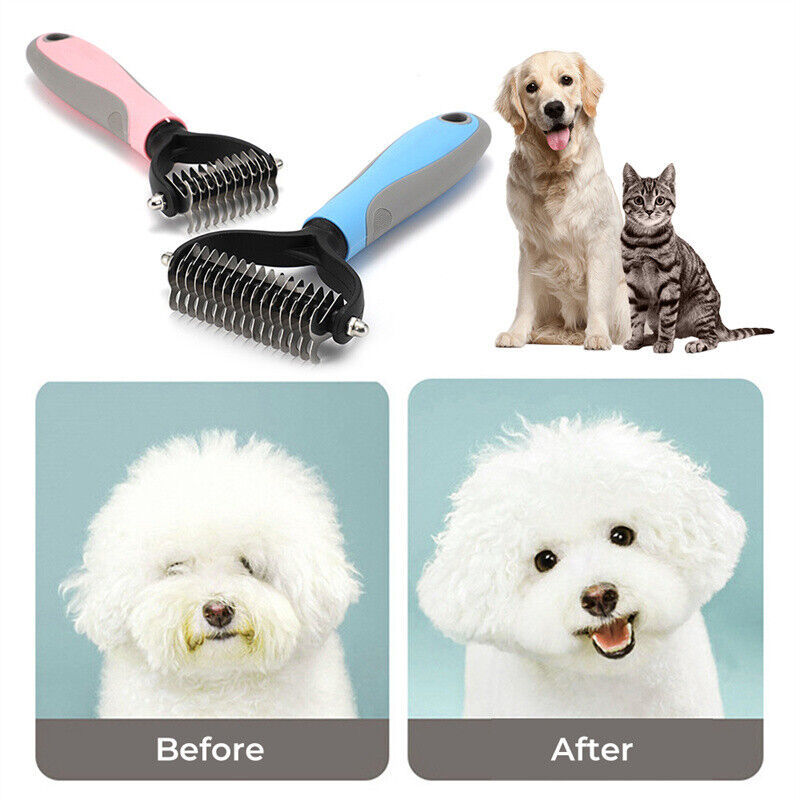 ok best bark bargains