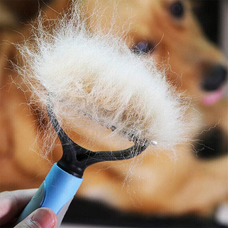 ok best bark bargains
