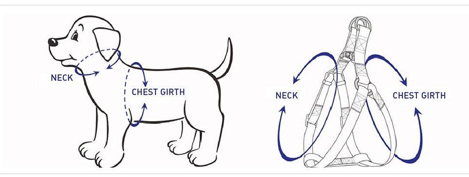 ok best bark bargains