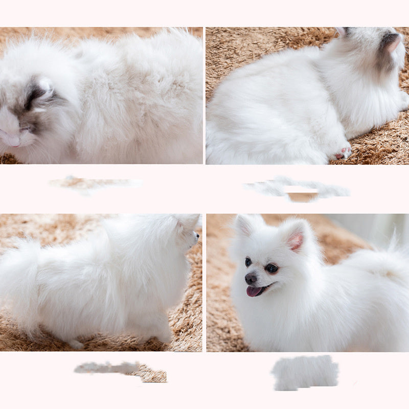 ok best bark bargains
