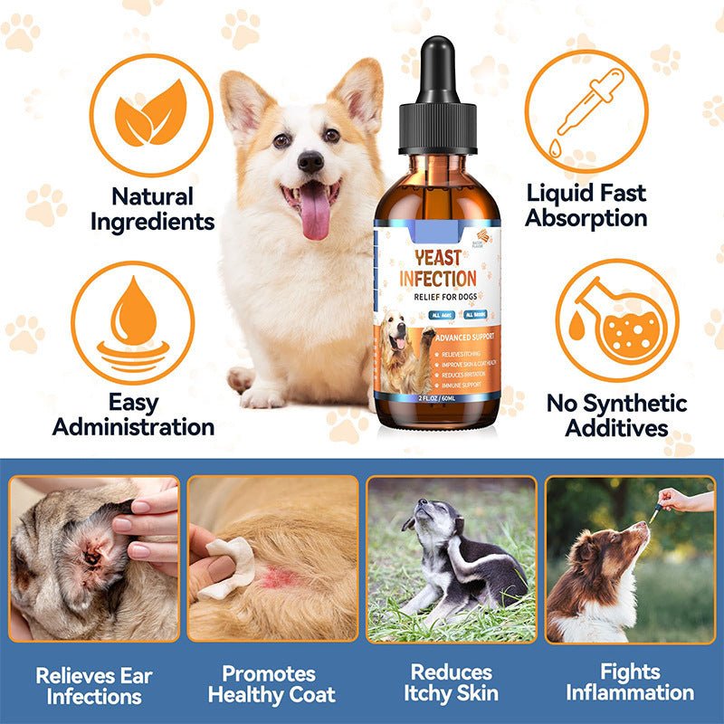 ok best bark bargains