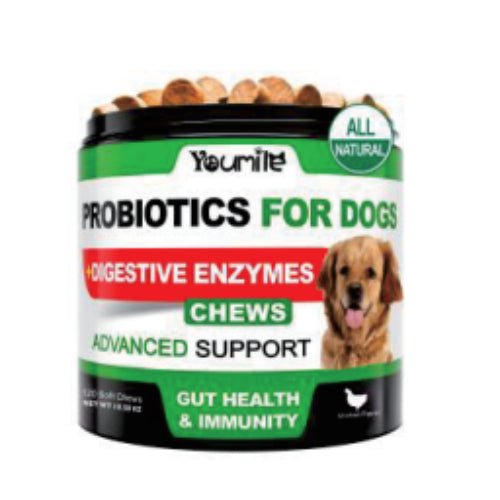 Dog probiotics Chew - ok best bark bargains