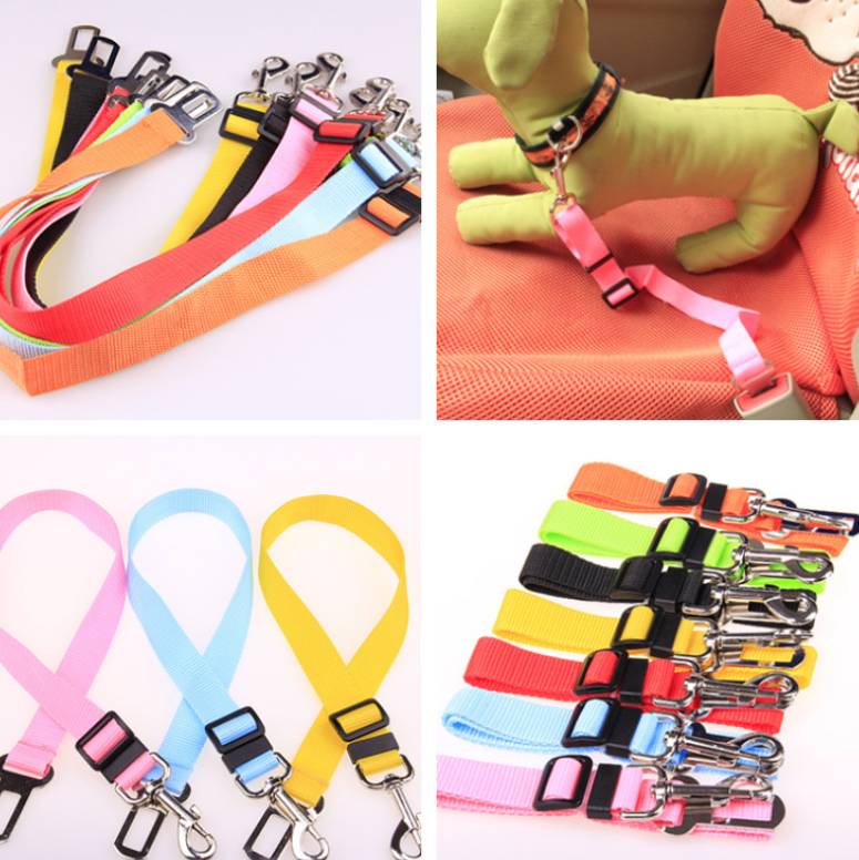 Fixed Strap Polyester Dog Strap Dog Leash Dog Leash - ok best bark bargains