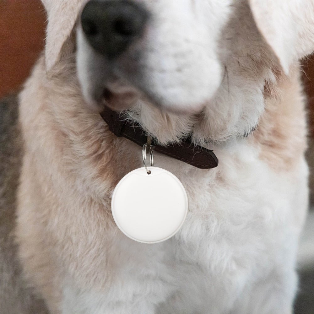 ok best bark bargains