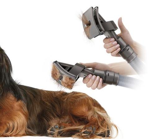 ok best bark bargains