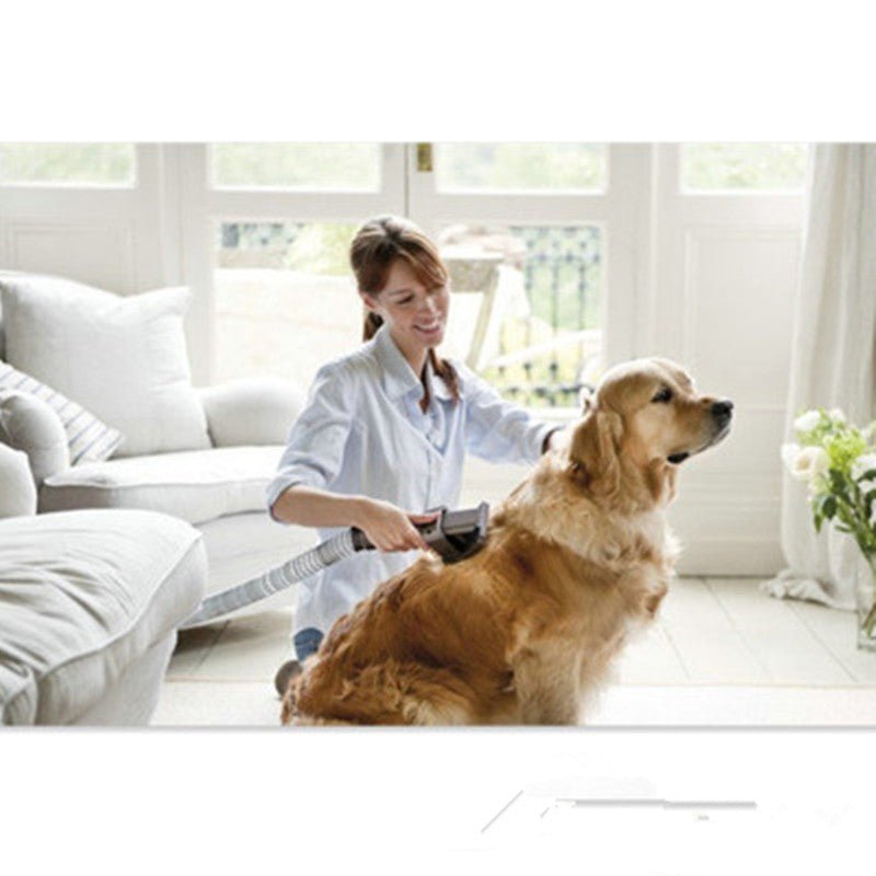 ok best bark bargains