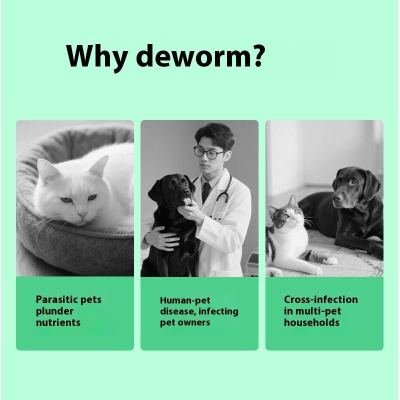 ok best bark bargains