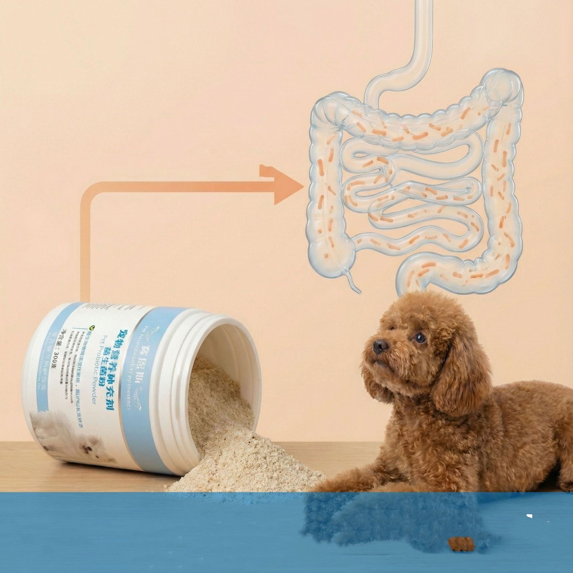 ok best bark bargains