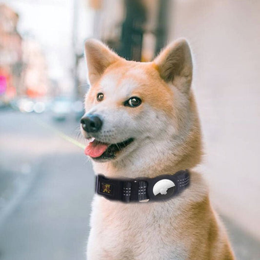 Pet Products Mobile Phone Tracker Protector - ok best bark bargains