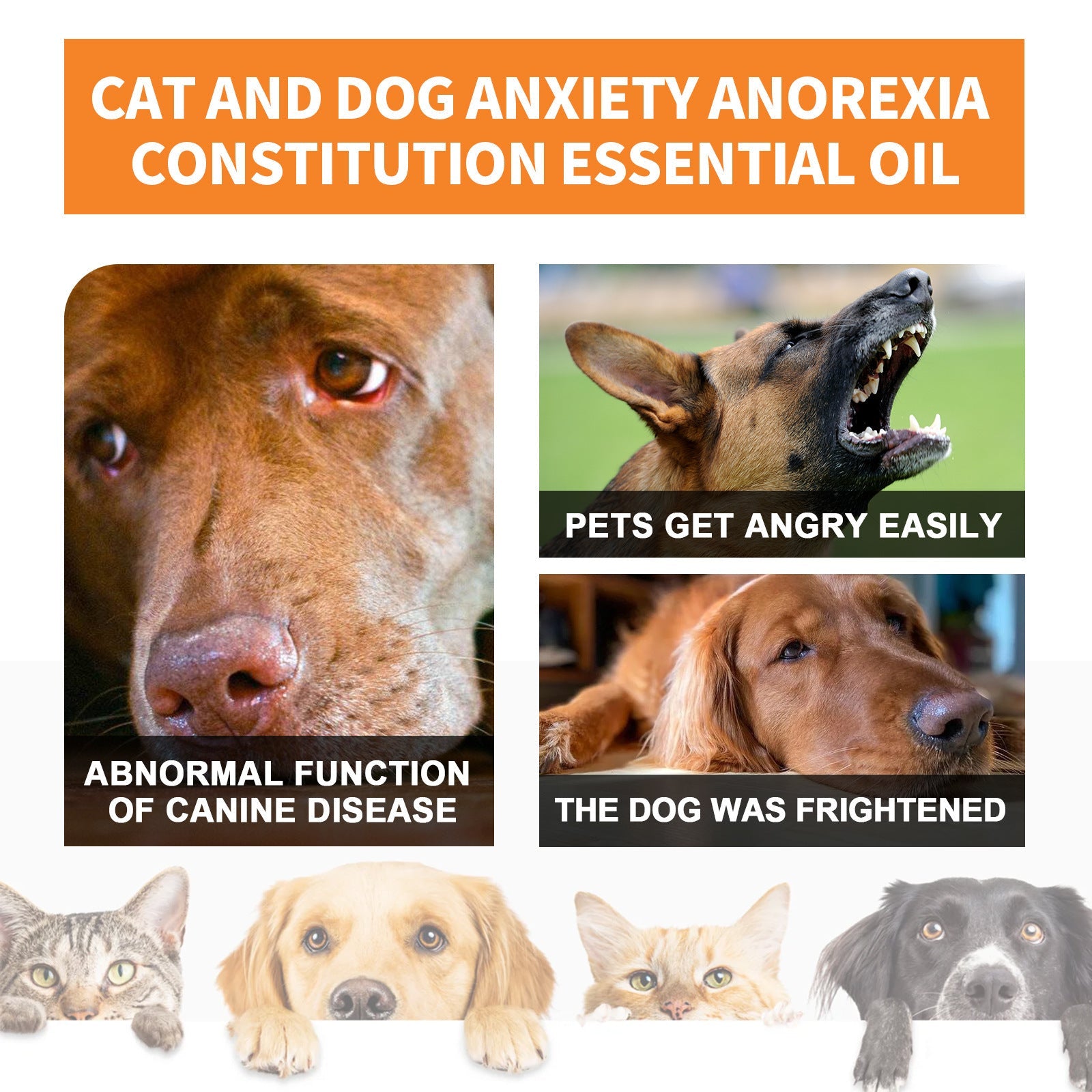 ok best bark bargains