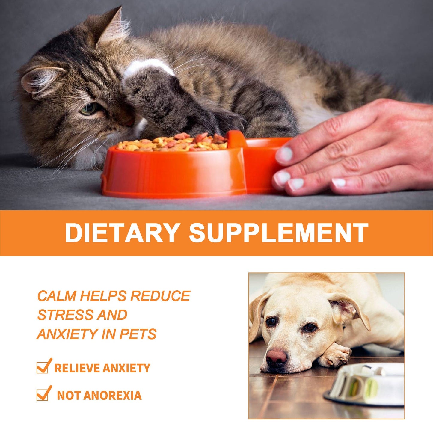 Premium Daily Diet Care & Nutritional Supplement for Dogs & Cats - ok best bark bargains