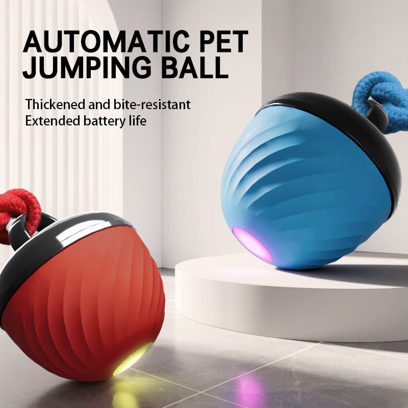 ok best bark bargains