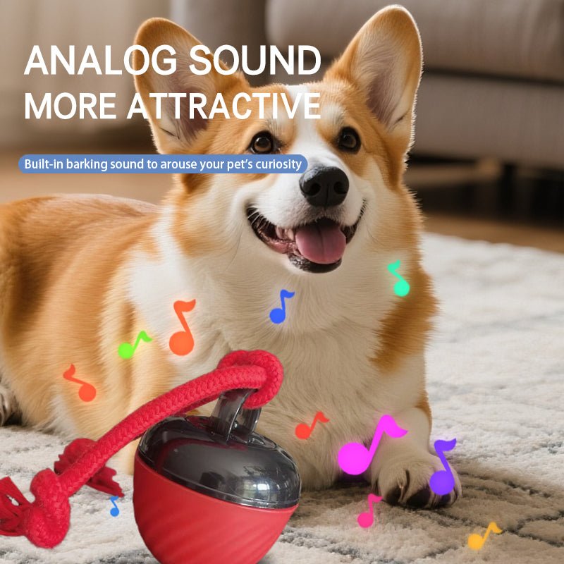 ok best bark bargains
