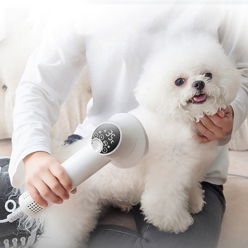 Smart Pet Hair Dryer Dog Golden Retriever Cat Grooming Hairdressing Blow & Comb Silent No Harm Pet Cleaning Supplies Pet Products - ok best bark bargains