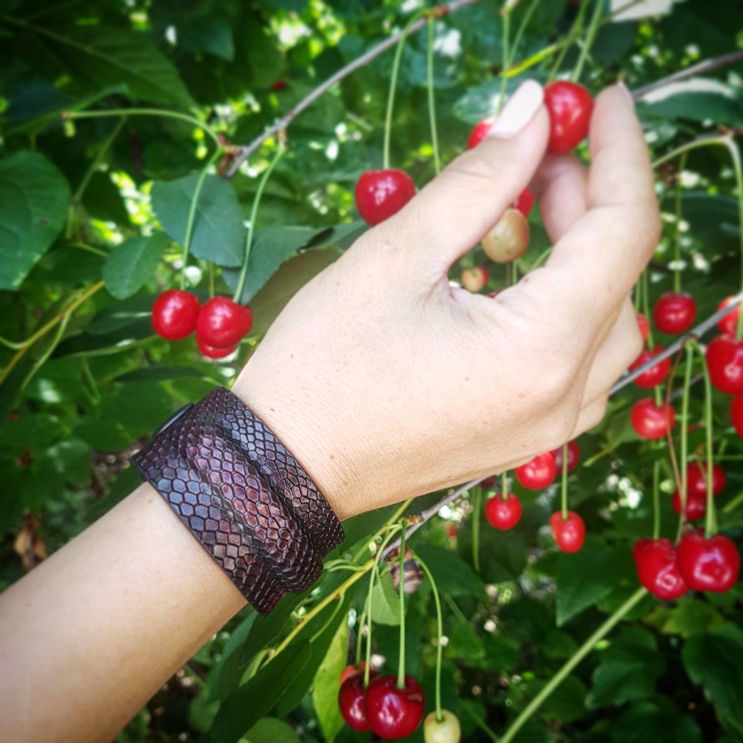 ok best bark bargains